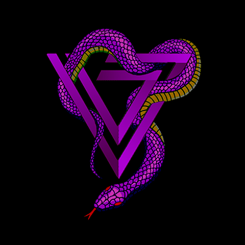 Team VOX